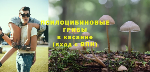 бутират Алзамай